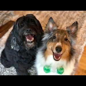 Meet your Posher, Tracy